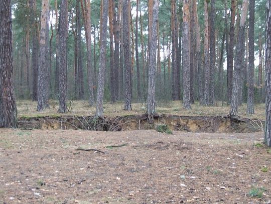 Mimo wszystko uratują