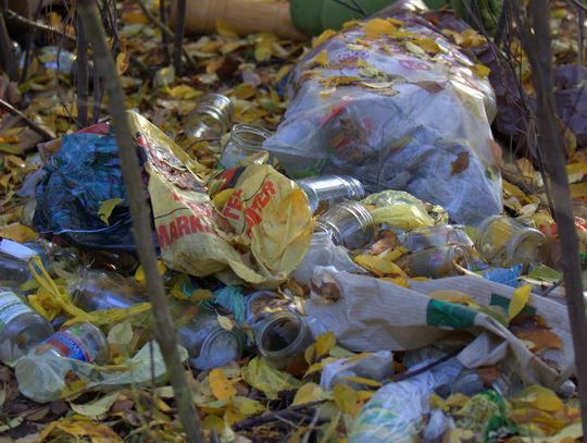 Człowiek to jednak zadziwiające stworzenie...