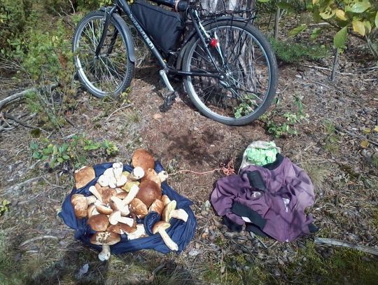 ... może byśmy tak... na grzybobranie