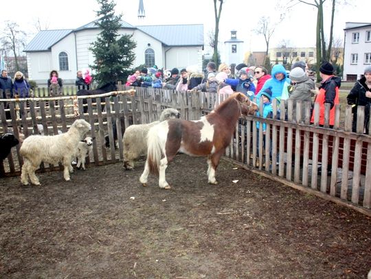 (FOTO) Żywa szopka przy parafii Najświętszego Serca Jezusowego