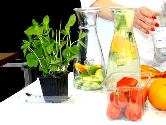 (FOTO) FOOD Track w Tomaszowie