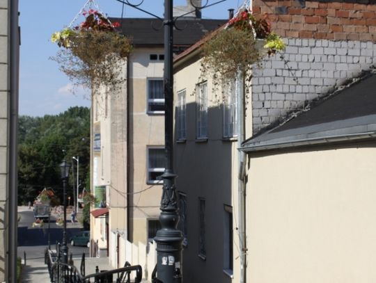 Zapomniane są też roślinki wiszące na latarniach. Kiedyś żywe, dzisiaj przypominają jedynie susz kwiatowy