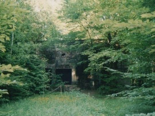 Jeden z kilku bunkrów schowany w lesie