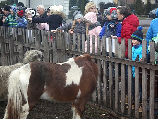 (FOTO) Żywa szopka przy parafii Najświętszego Serca Jezusowego
