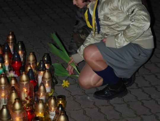 Żółte tulipany Żółte tulipany