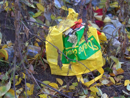 Człowiek to jednak zadziwiające stworzenie...