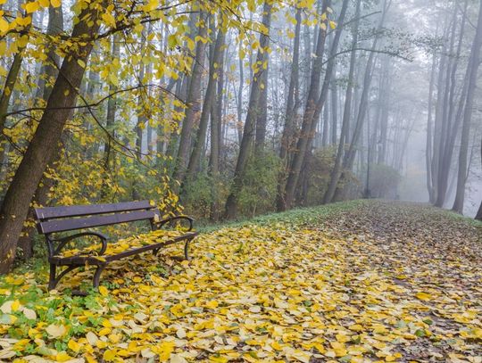 Niebieskie Źródła - spacer o każdej porze roku