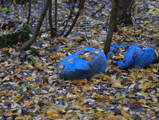 Człowiek to jednak zadziwiające stworzenie...