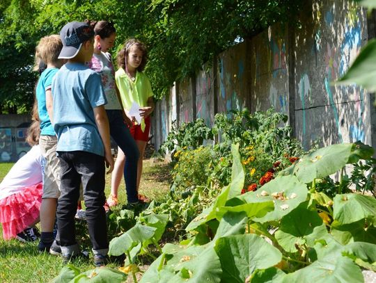 Proekologiczne i prozdrowotne warsztaty w filii DOK
