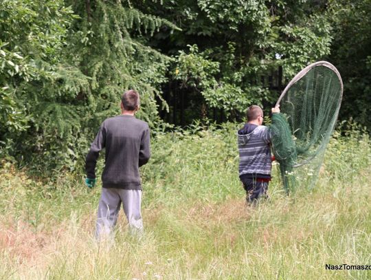 Interesant Interesant