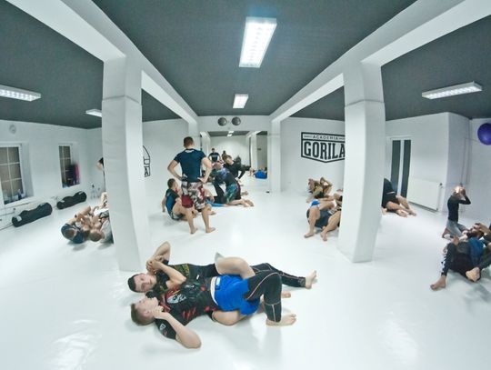 Kolejny prestiżowy trening w Academia Gorilla Tomaaszów