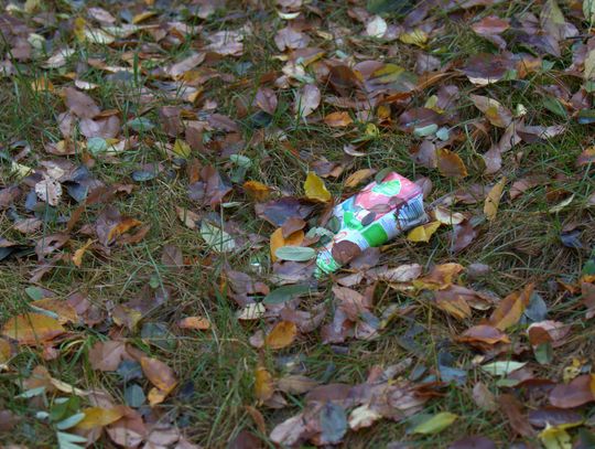 Człowiek to jednak zadziwiające stworzenie...