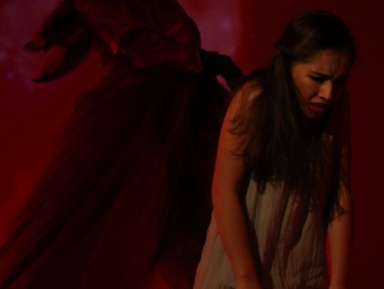 Teatr Trzcina - Spektakl "Kopciuszek"