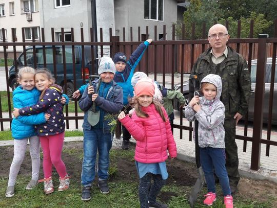 „Święto Drzewa”, czyli jak dbać o środowisko