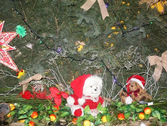 (FOTO) Żywa szopka przy parafii Najświętszego Serca Jezusowego