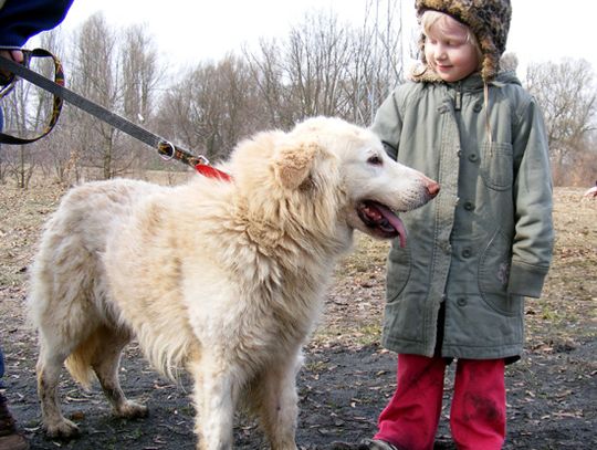 Biały - przyjaciel dla Twojego domu Biały - przyjaciel dla Twojego domu