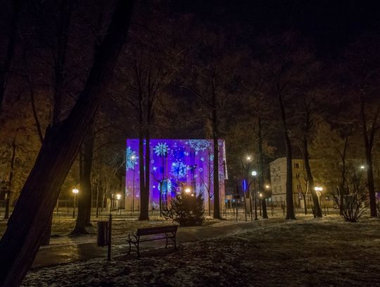 Choinka, bombka, sanie, renifery