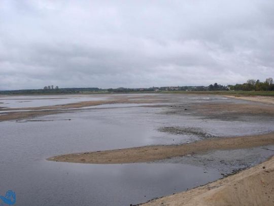 Śnięte Sandacze wylądowały w workach na śmieci