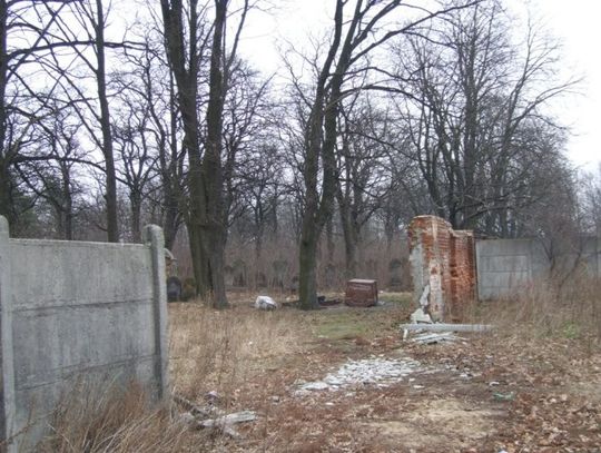 Cmentarz żydowski (kirkut)