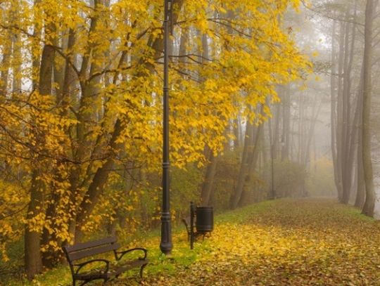 Niebieskie Źródła - spacer o każdej porze roku