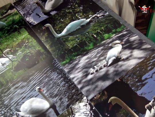 Kilka słów o fotografii