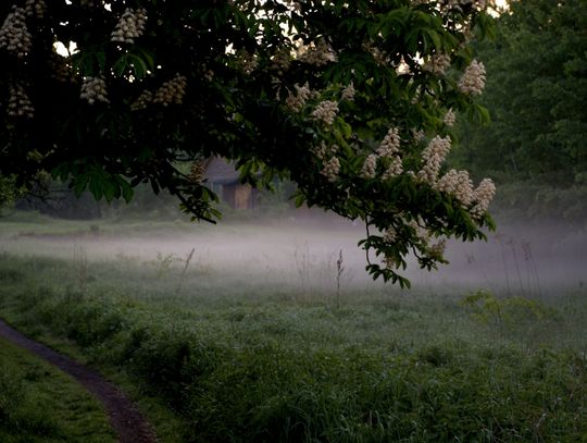 Ranek nad Pilicą Ranek nad Pilicą