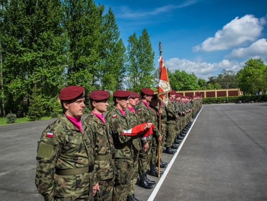 Obchody 70. rocznicy zakończenia II wojny światowej w Europie