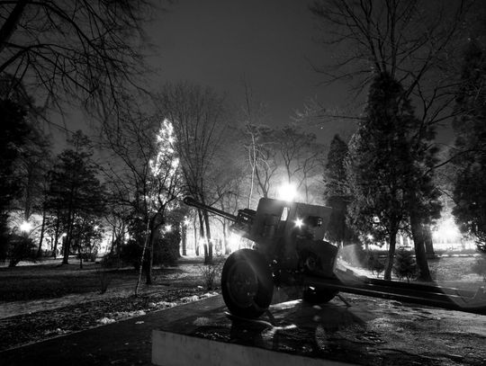 Choinka, bombka, sanie, renifery