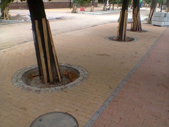 Radosna twórczość - każdy okrąg innej średnicy. Zdjęcie akurat nie uchwyciło różnic. Przynajmniej nie będzie monotonii. Radosna twórczość - każdy okrąg innej średnicy. Zdjęcie akurat nie uchwyciło różnic. Przynajmniej nie będzie monotonii.