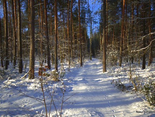 Zapowiada się słoneczny weekend