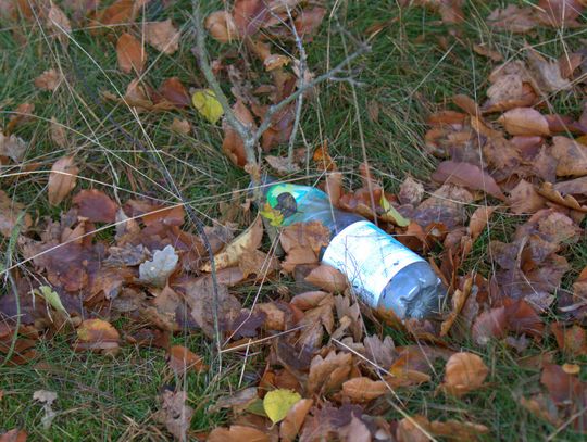 Człowiek to jednak zadziwiające stworzenie...