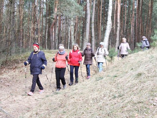 Nordic Walking na leśnych ścieżkach