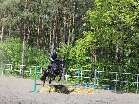 Trwa atestacja policyjnych koni