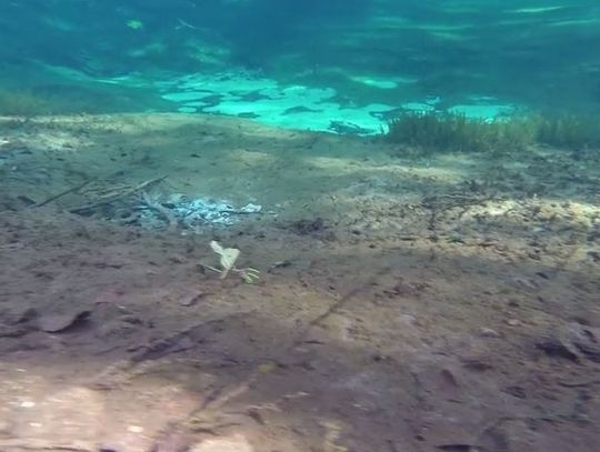 Niebiesko i zielono, czyli.... sami zobaczcie