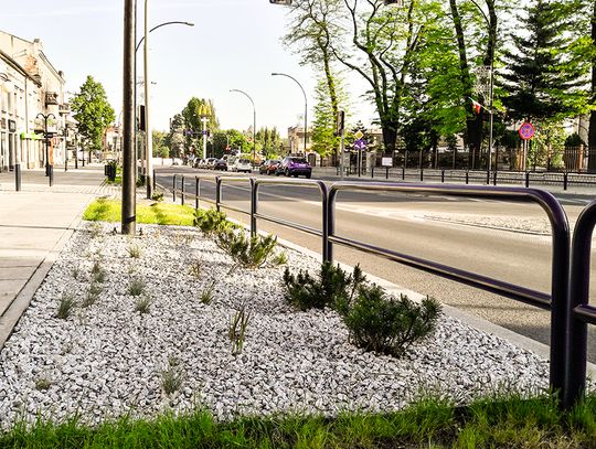 Biało-czerwone kwiaty upiększą centrum miasta Biało-czerwone kwiaty upiększą centrum miasta