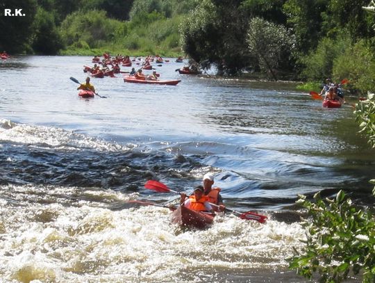 Spływ kajakowy na Pilicy