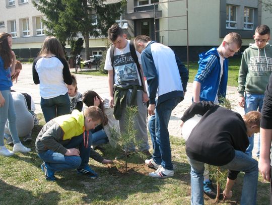 Zielonym do góry...