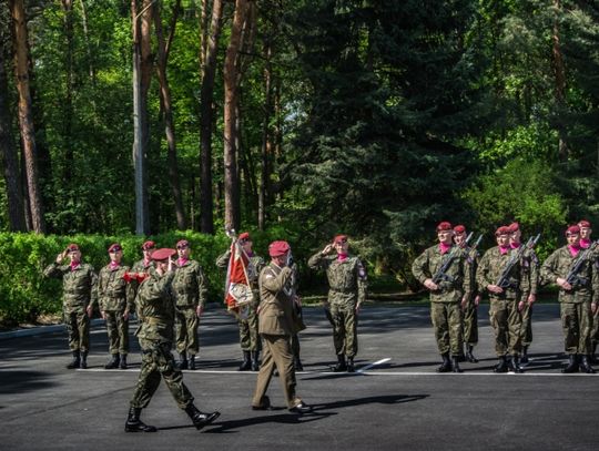 Obchody 70. rocznicy zakończenia II wojny światowej w Europie