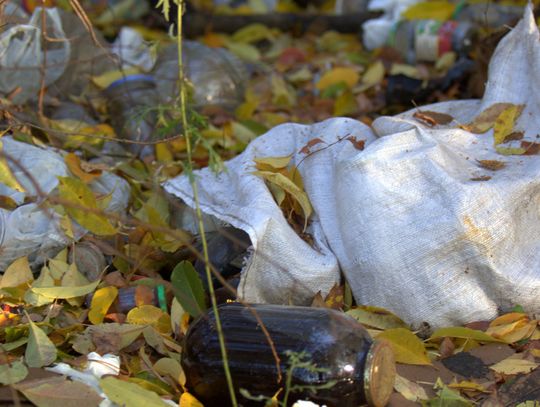 Człowiek to jednak zadziwiające stworzenie...