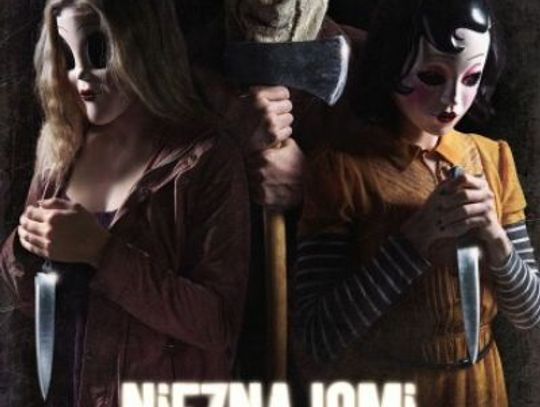 Nowy Pitbull od 15 marca w Heliosie Nowy Pitbull od 15 marca w Heliosie