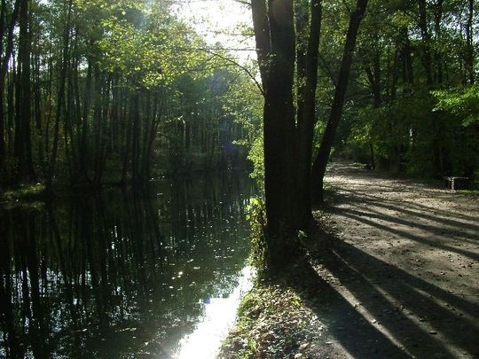 Rezerwat Niebieskie Źródła