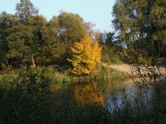 Między mostem kolejowym a ulicą Mireckiego