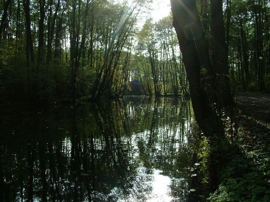 Rezerwat Niebieskie Źródła