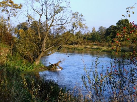 Między mostem kolejowym a ulicą Mireckiego