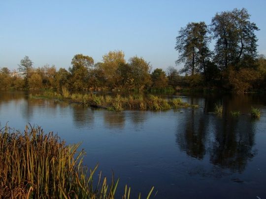 Między mostem kolejowym a ulicą Mireckiego