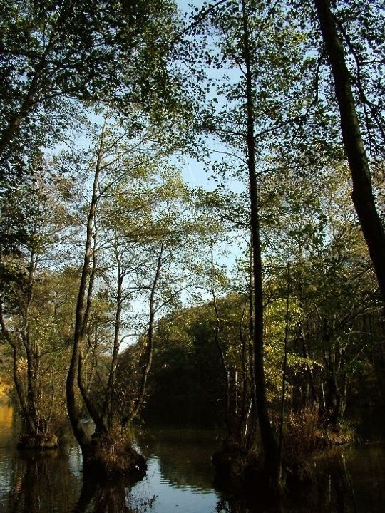 Rezerwat Niebieskie Źródła