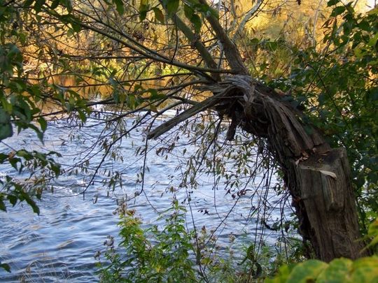 Między mostem kolejowym a ulicą Mireckiego