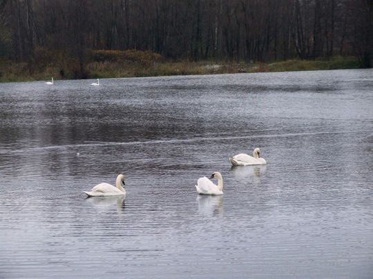 Między zaporą a Białą Góra