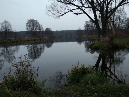 Okolice zbiornika &amp;quot;Lodowiec&amp;quot;