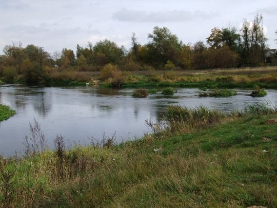 Gdzie wpada Wolbórka